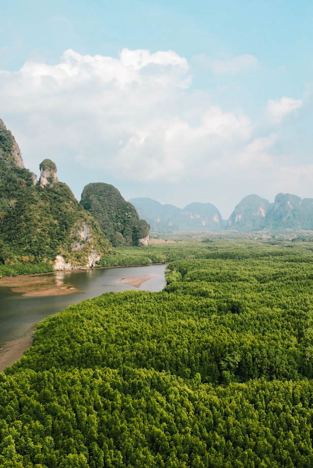 drone photo over jungle and limestone cliffs in thailand