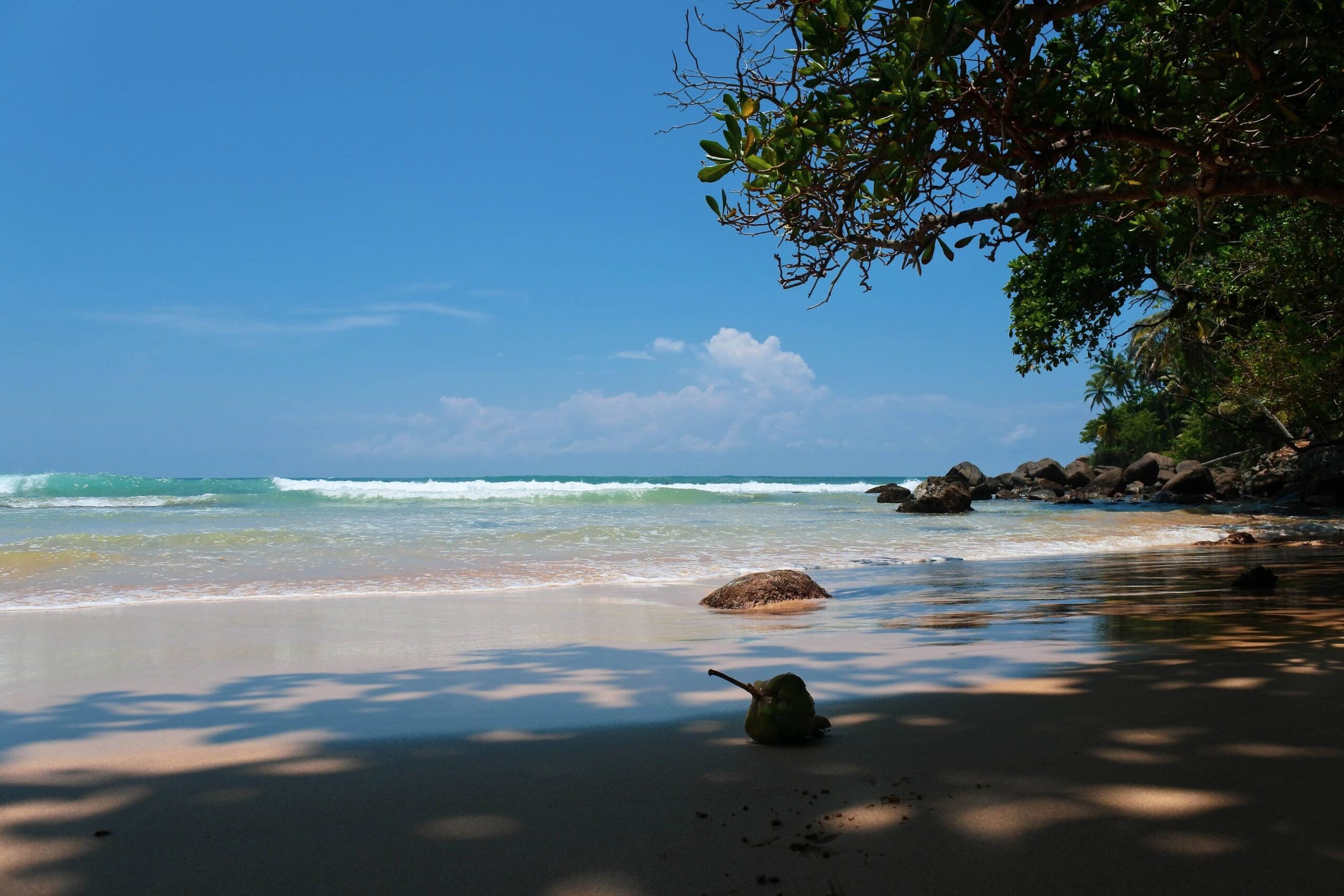 Quiet beach in Mirissa with palm trees and ocean waves