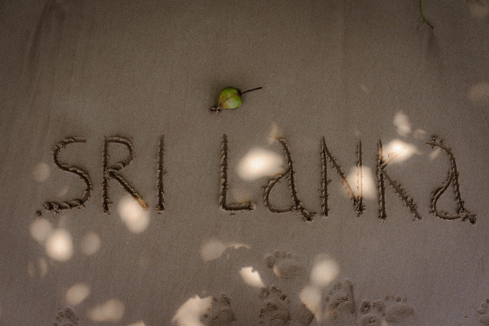 sri lanka best beaches and things to see