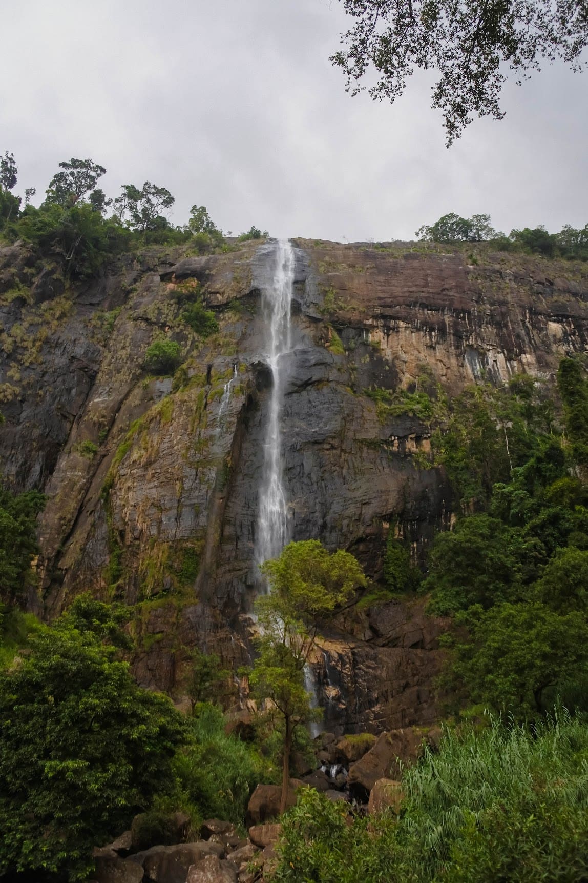 waterfall and jungle in the depth of sri lanka