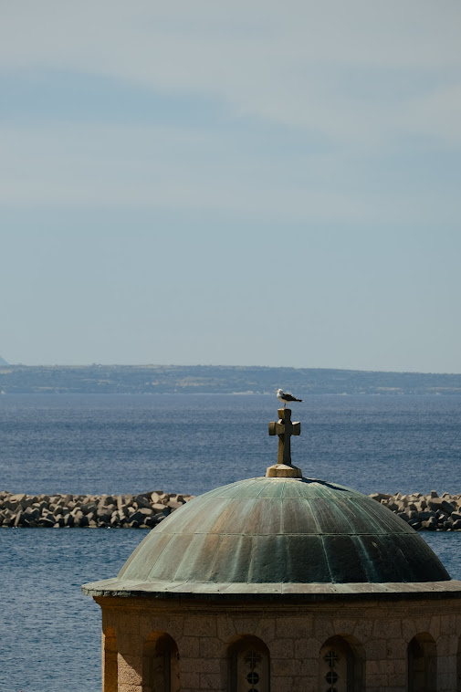 a seagull sitting on a cross of a church