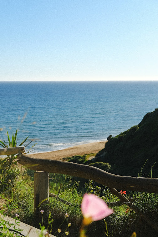 views of the a beautiful beach, sea and nature in corfu