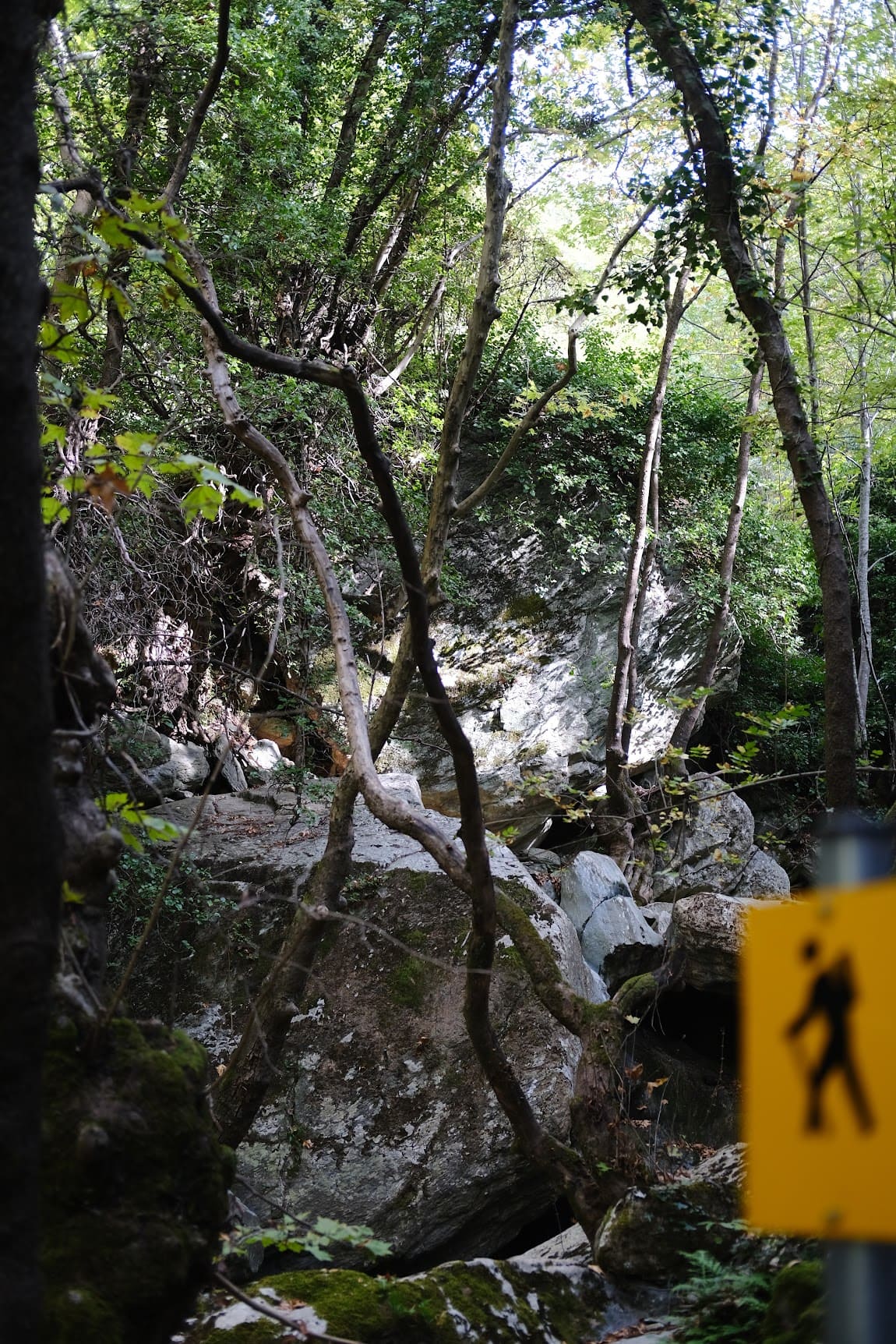 Pelion trails